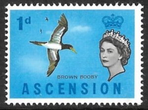 ASCENSION 1963 QE2 1d Brown Booby Bird Pictorial Sc 75 MH