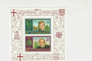 Ascension Island 1974 Centenary Sir Winston Churchill MNH Stamps Sheet Ref 27127 