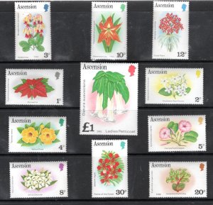 ASCENSION MNH VF  Flowers SCV $13