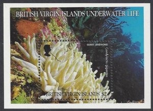 British Virgin Islands #884-88 MNH set c/w ss, various corals, issued 1998