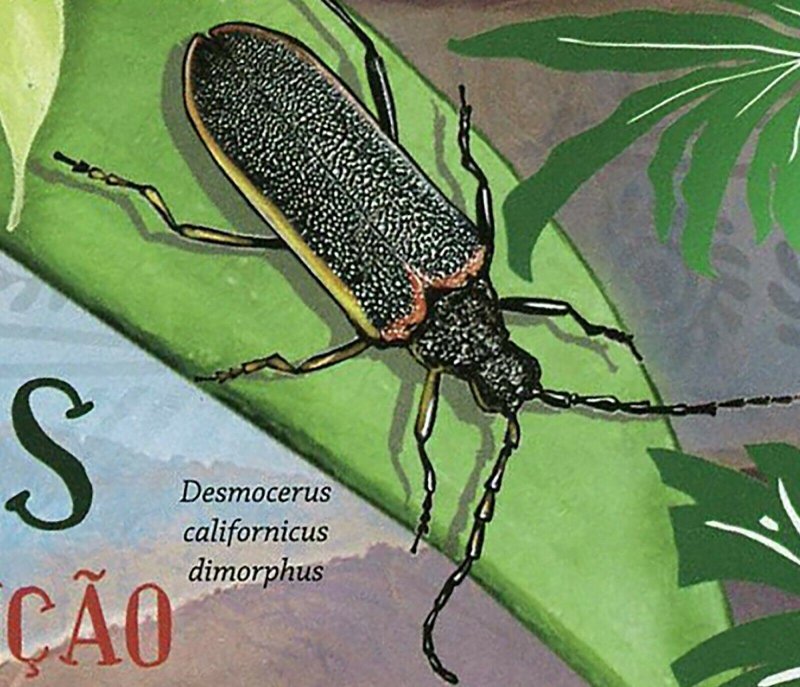 Cockroaches Stamp Nicrophorus Americanus Elaphrus Viridis S/S MNH #5753 / Bl.628