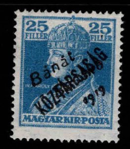 HUNGARY Scott 10N32 MH* 25f Charles IV  overprint., Serbian Occupation