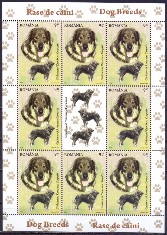 Romania. 2012. Small sheet 6640-43. Dogs. MNH.