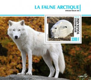 Togo Wild Animals Stamps 2020 MNH Arctic Fauna Hares Wolf Wolves 1v S/S