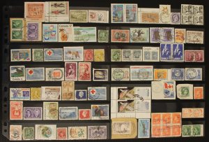 CANADA SON CANCEL LOT