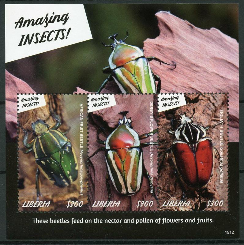 Liberia 2019 MNH Amazing Insects Goliath Beetle 3v M/S Beetles Stamps