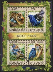 SIERRA  LEONE 2016 INDIGO BIRDS SHEET  MINT NH