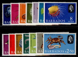 BARBADOS QEII SG322-335, 1965 marine life set, NH MINT. Cat £20.