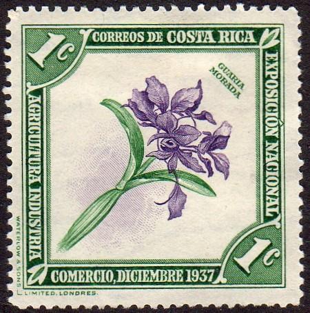 Costa Rica 184 - Mint-H - 1c Purple Guaria Orchid (1938) (cv $0.60) (2)