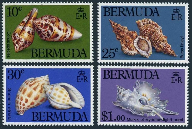 Bermuda 419-422,MNH.Michel 408-411.Shells 1982.Conus,Bursa finlayi,Sconsia,Murex