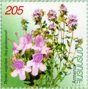 Armenia MNH** 2001 Medicinal Plant Flower Scott 646 Mi 453 Thymus serpyllum