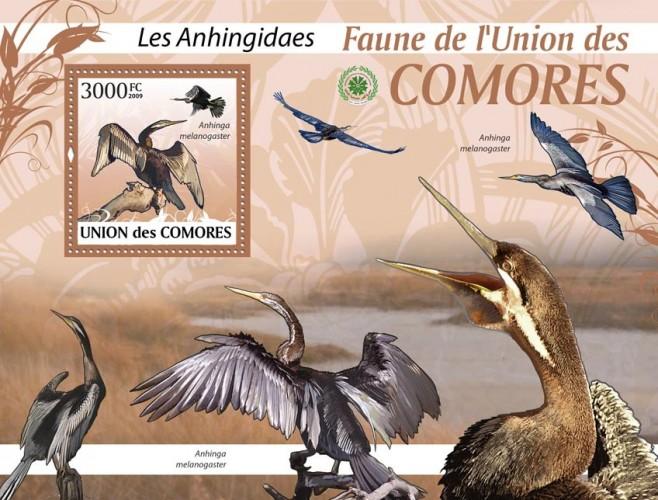 COMORES 2009 SHEET LES ANHINGIDAES ANHINGIDAE DARTERS BIRDS ANHINGA cm9423b