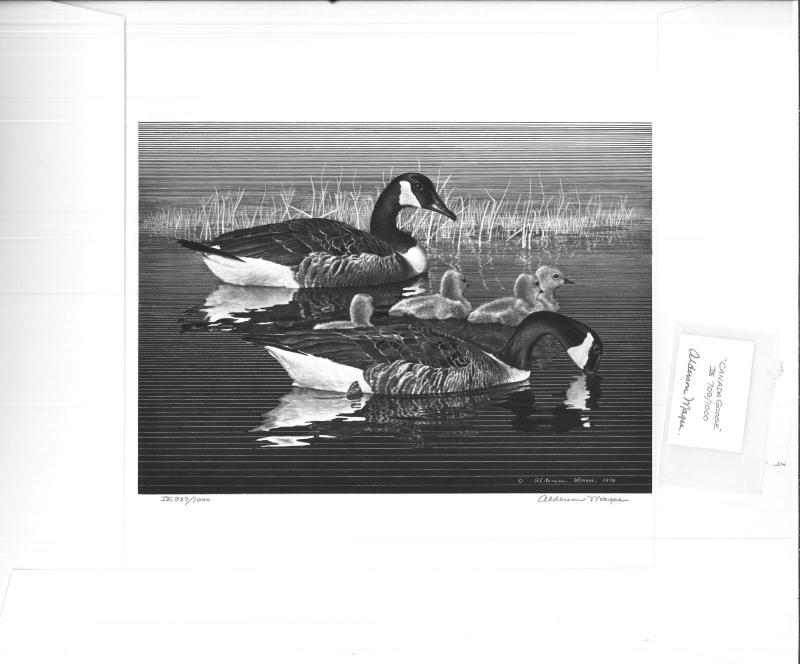 1976 Federal Duck Stamp RW43 Canada Geese Etching Print by Alerson McGee
