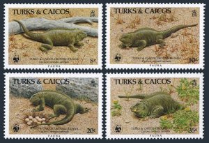 Turks & Caicos 710-713, MNH. Michel 777-780. WWF 1986. Ground iguanas.