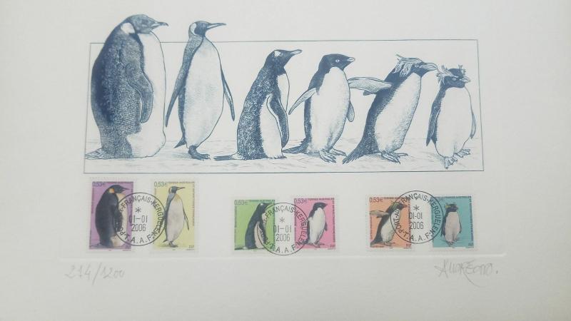 L) 2006 FRENCH SOUTHERN AND ANTARCTIC LANDS, PENGUIN, NATURE, MULTIPLE STAMPS