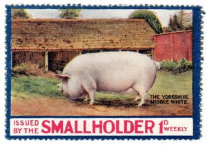 (I.B) Cinderella Collection : Smallholder Magazine 1d (Yorkshire White Pig)