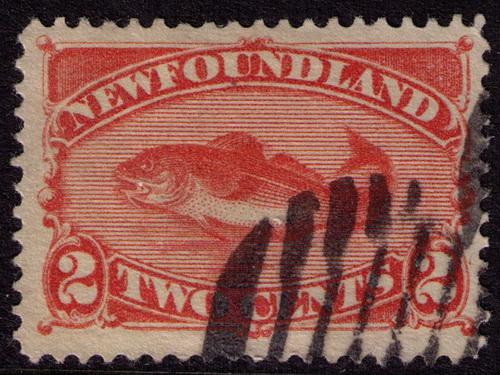 Newfoundland # 48 Used VF sound Cat $ 12.50