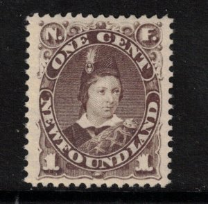 Newfoundland #43 Extra Fine Never Hinged Gem **With Certificate**