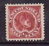 Newfoundland-Sc#56- id7-unused VLH 1/2c rose red  Dog-nicely centered-1894-