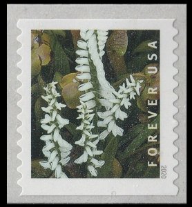 US 5438 Wild Orchids Spiranthes odorata F coil single MNH 2020