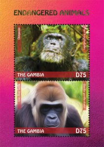 Gambia 2014 - Endangered Animals - Gorillas - Souvenir stamp sheet - MNH