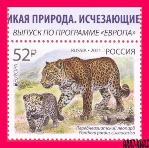 RUSSIA 2021 Europa CEPT Nature Fauna Endangered Wild Animals Big Cat Leopard 1v
