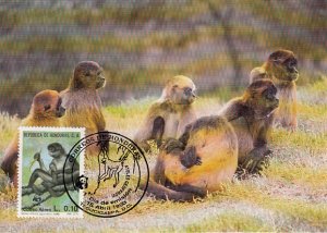 Honduras 1990 Maxicard Sc #C790 10c Geoffroy's spider monkey WWF