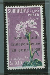 Somalia (Italian Somaliland) #242  Single