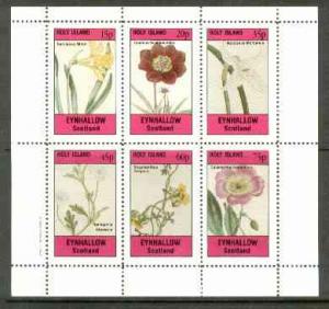 Eynhallow 1982 Flowers #24 (Narcissus x 2, Cosmus, Nemoph...