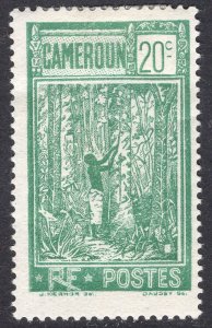 CAMEROUN SCOTT 178