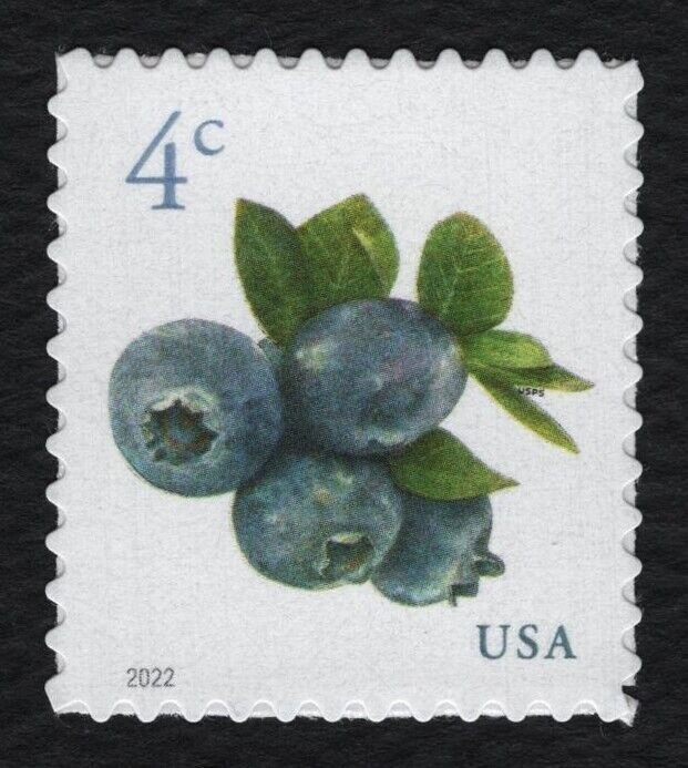 #5037-5039, 5177-78, 5201, 5256, 5653-Fruit Singles Mint **ANY 5=FREE SHIPPING** 