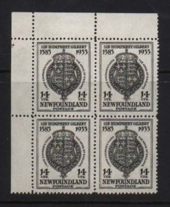 Newfoundland #221b XF/NH Block