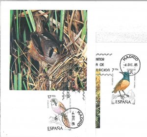 14707 - SPAIN - POSTAL HISTORY - Set of 2 MAXIMUM CARD - 1985: BIRDS-