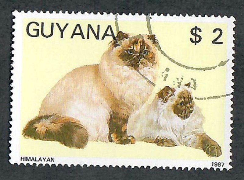 Guyana #1866A Cats used single