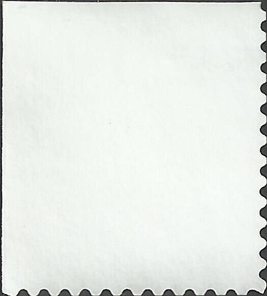 # 3295a USED RASPBERRIES