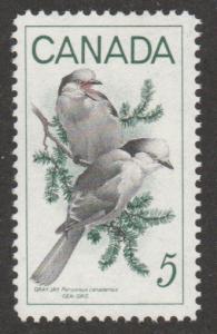 478 Gray Jays -  MNH