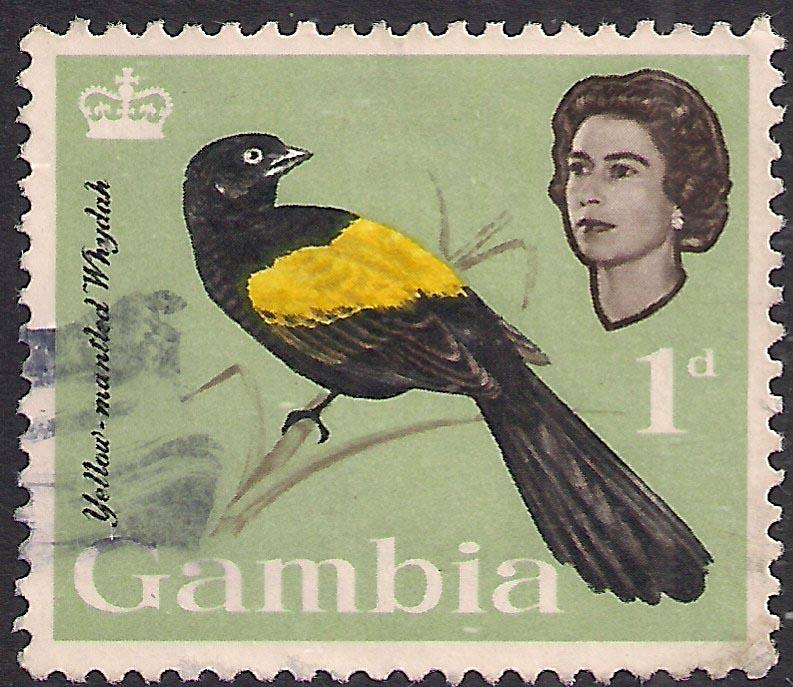 Gambia 1963 QE2 1d Yellow Mantled Whydah Bird SG 194 ( D578 )