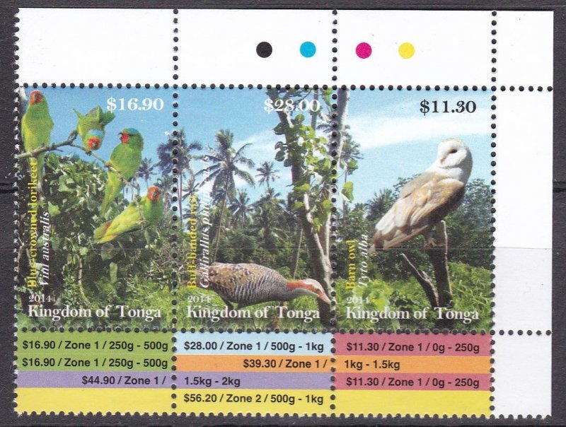 Tonga, Fauna, Birds, Owls, Parrots MNH / 2012