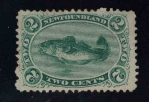 NEWFOUNDLAND Scott 24  cod fish stamp Mint no Gum, MNG pencil mark on back