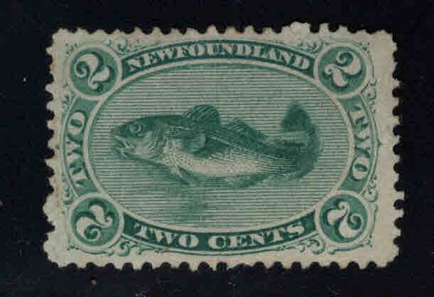 NEWFOUNDLAND Scott 24  cod fish stamp Mint no Gum, MNG pencil mark on back