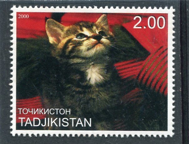 Tajikistan 2000 DOMESTIC CAT 1 value Perforated Mint (NH)