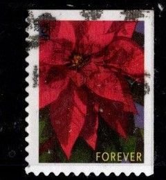 #4816 Poinsetta (Off Paper)- Used