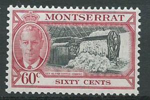 Montserrat SG 132 Mint Light Hinge
