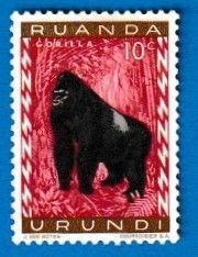 RUANDA - URUNDI SCOTT#141 1959 GORILLA - MH