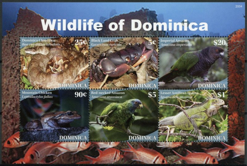 Dominica Birds on Stamps 2020 MNH Wildlife Parrots Frogs Snakes Lizards 6v M/S