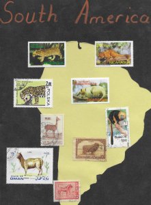 South America. Topical. Animals of South America used on piece.