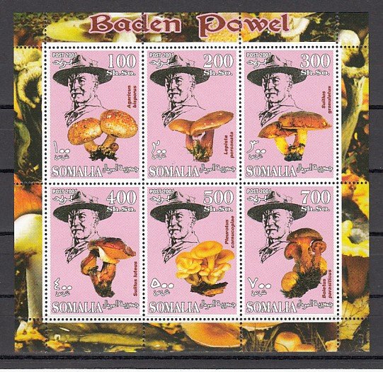 Somalia, 2001 Cinderella issue. Mushrooms/Scout B. Powell, sheet of 6. ^