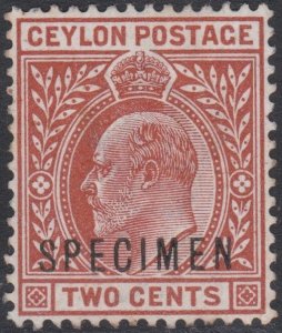 002757/ Ceylon 1903 Sg265s 2c Red Brown Unused Specimen