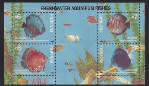 2184 Aquarium Fish/Discus CV$11