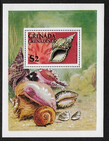 Grenada, Grenadines #144 MNH S/Sheet - Seashells